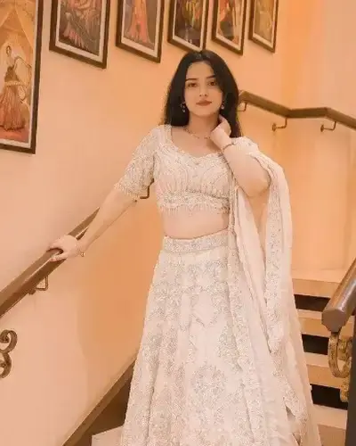 Escort Sadulshahar